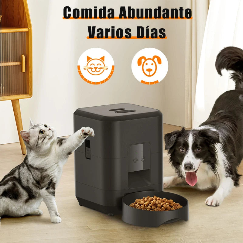 Alimentador Inteligente Fácil