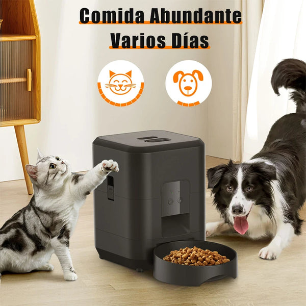 Alimentador Inteligente Fácil